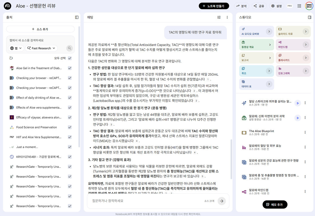 NotebookLM 선행문헌 리뷰 화면