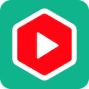 YouTube Summary